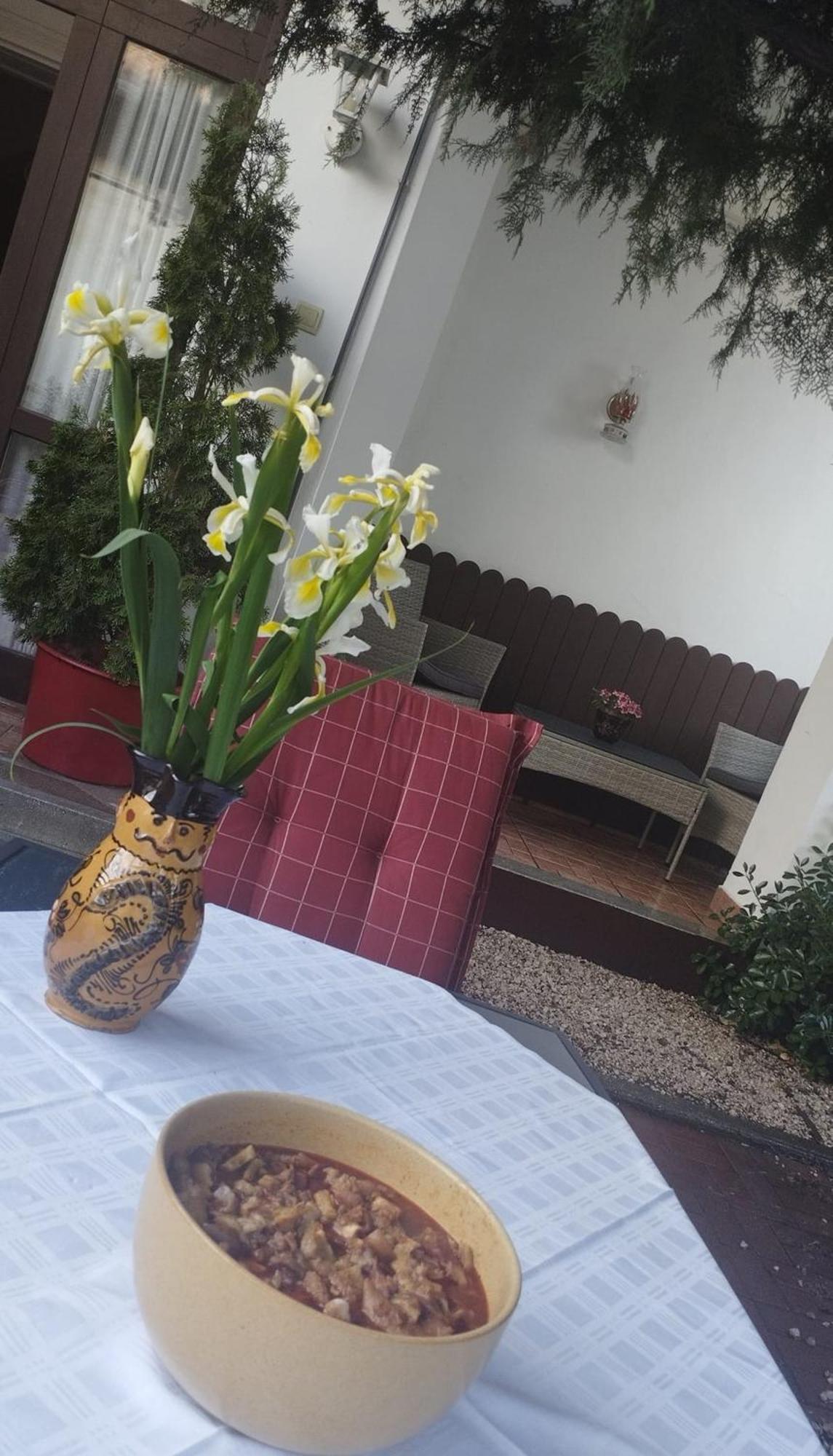 Erzsebet Vendeghaz Es Apartman Hajdúszoboszló Exterior foto